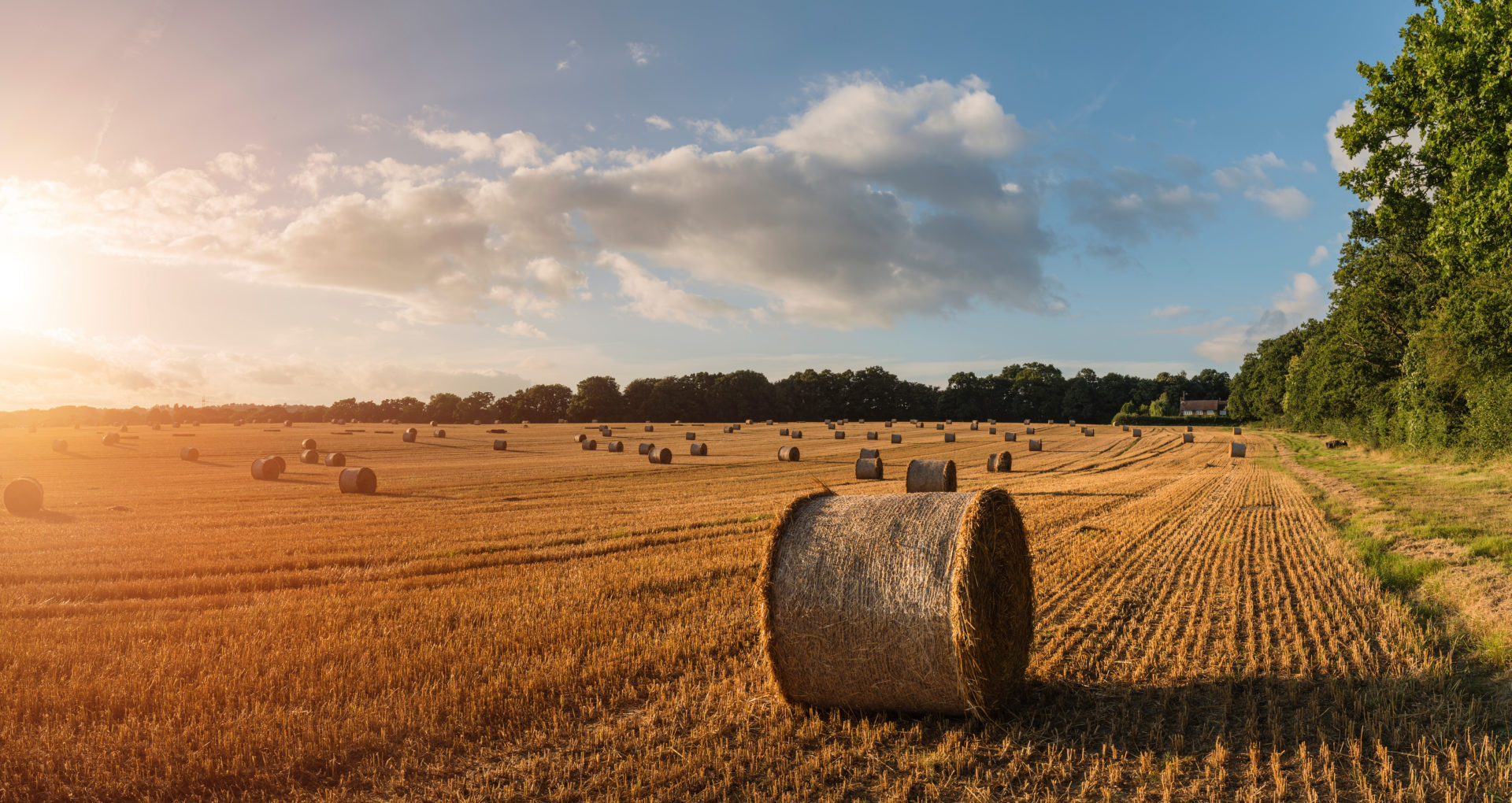 Who can inherit a farm in Poland?